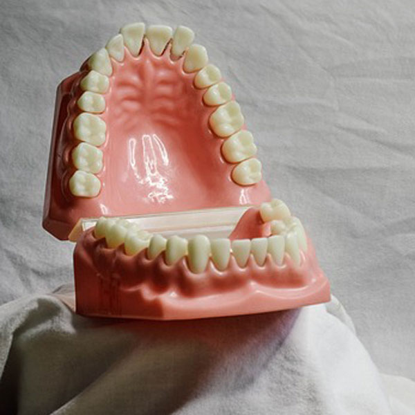 dientes