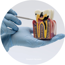 Sin título (500 x 500 px) (2)